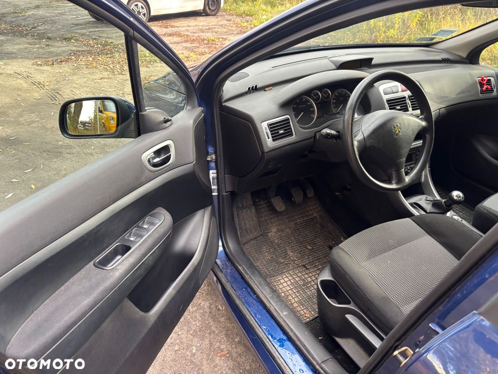 Peugeot 307 - 15
