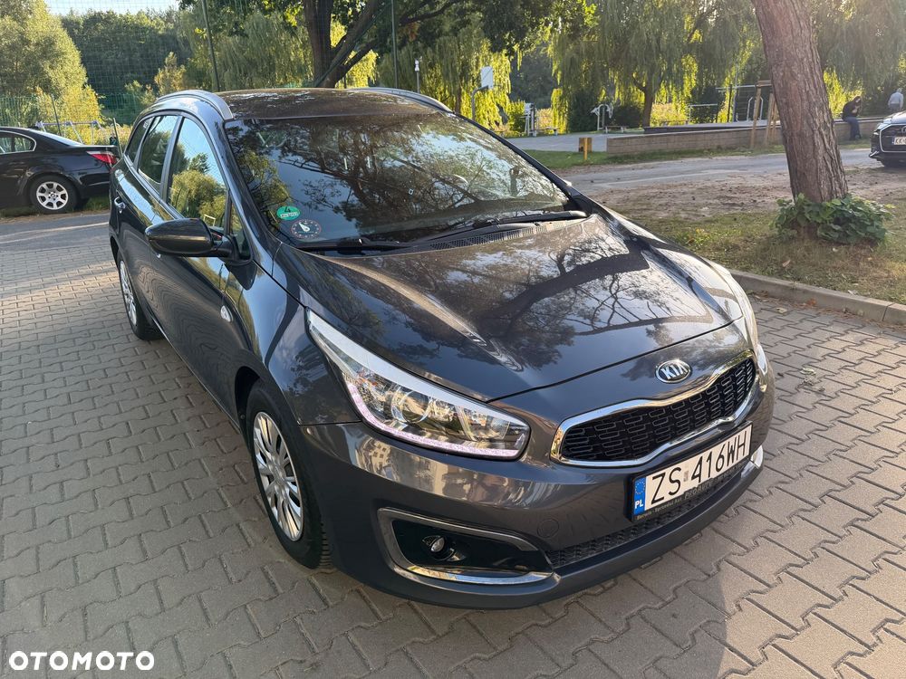Kia Ceed - 1