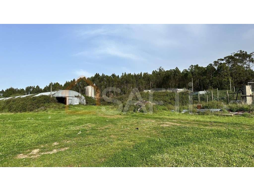 Terreno rustico industrial - Grande imagem: 4/38