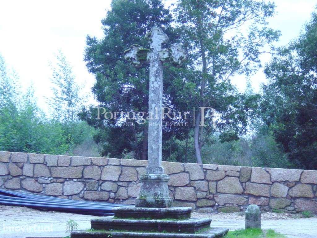 Antigo solar e quinta na encosta do Caramulo - Grande imagem: 4/24