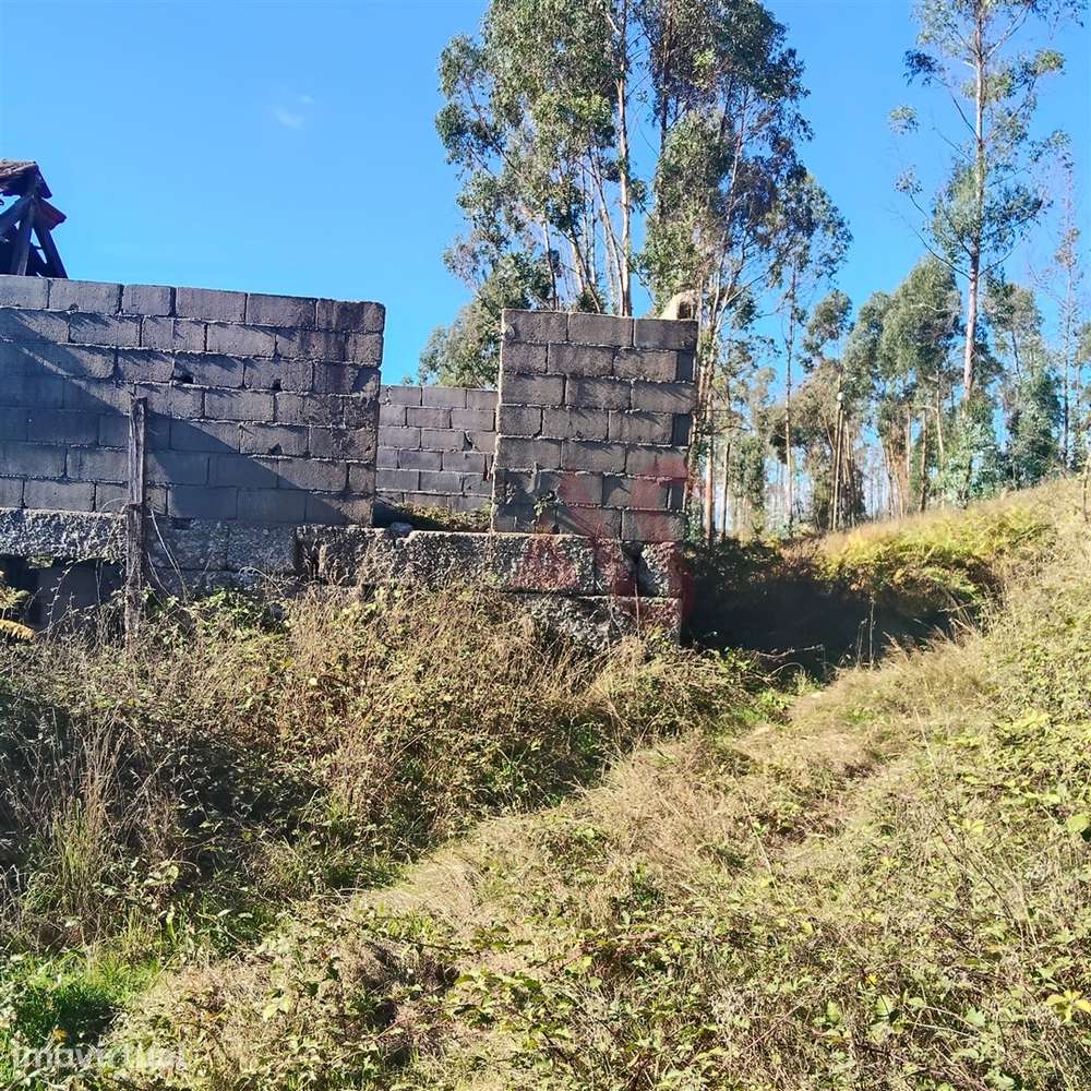 Moradia T3 para restaurar com terreno em Seidões, Fafe - Grande imagem: 3/20
