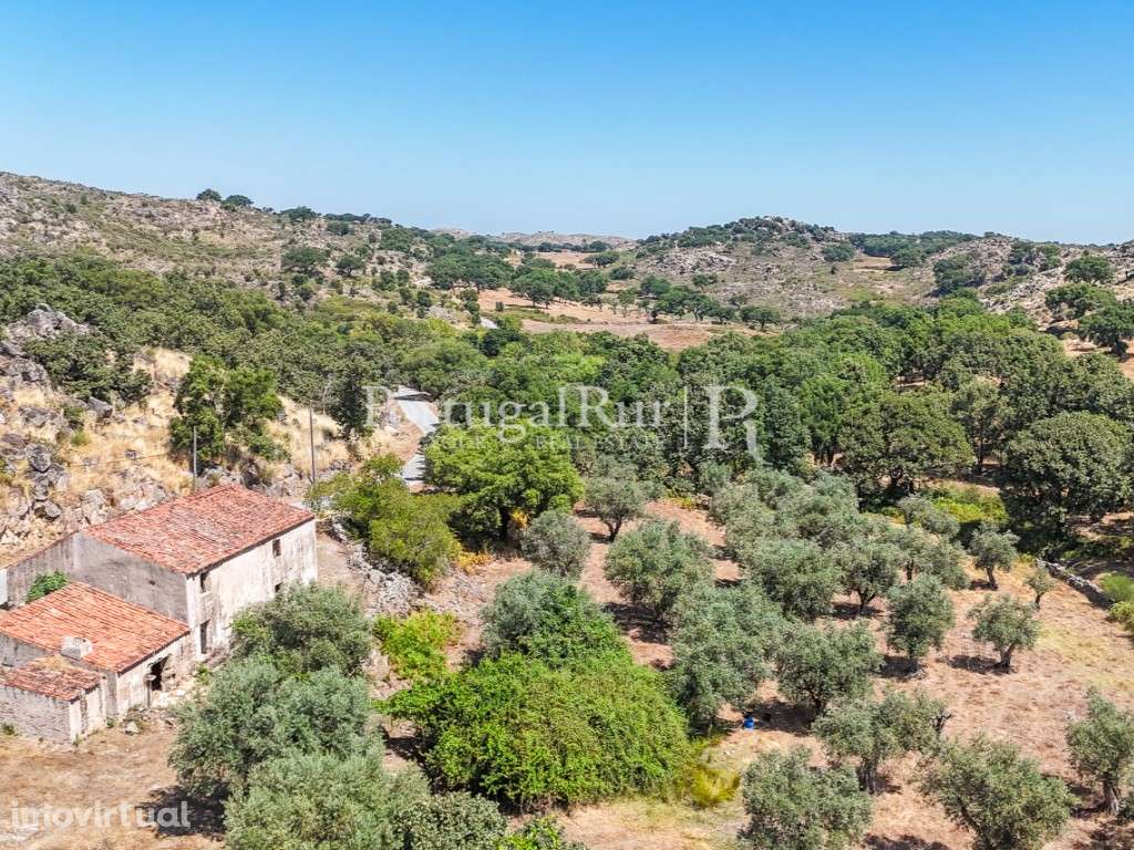 Quinta em Marvão com vocação para turismo e projeto - Grande imagem: 5/48