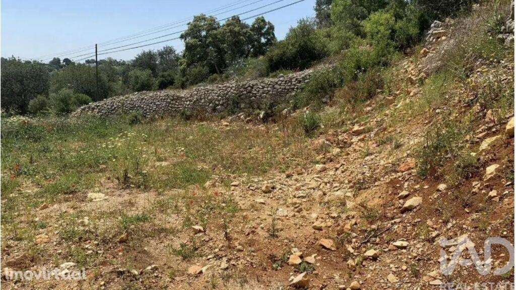 Terreno em Loulé (São Sebastião) - Grande imagem: 3/4