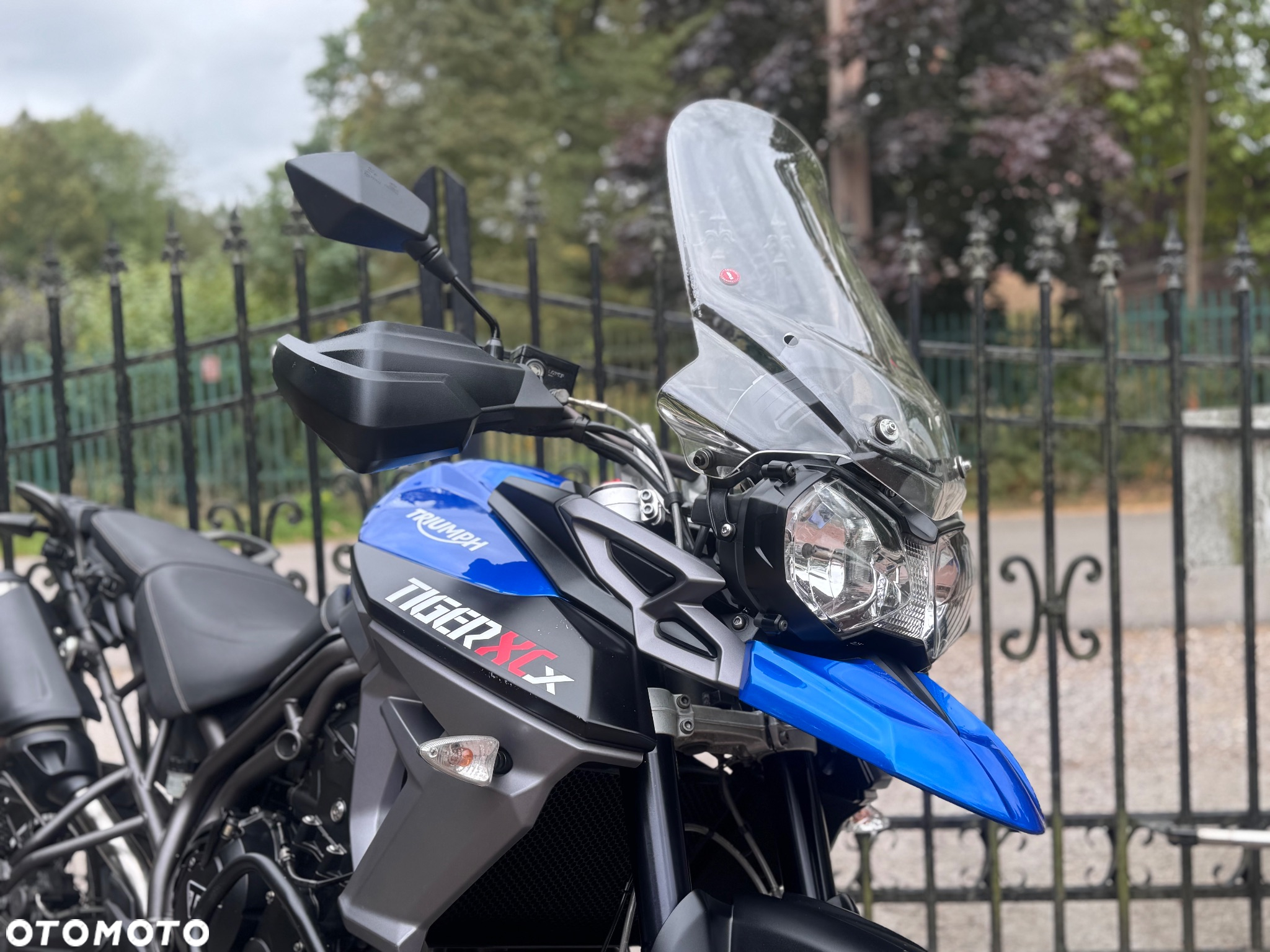 Triumph Tiger - 11