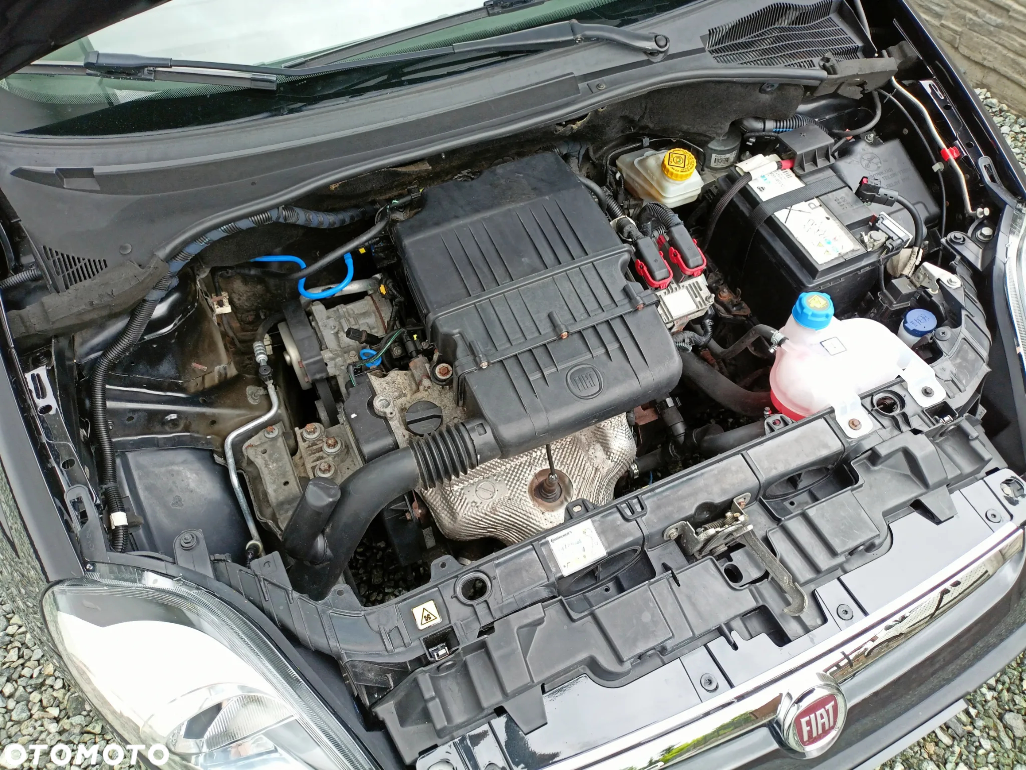 Fiat Punto Evo - 18