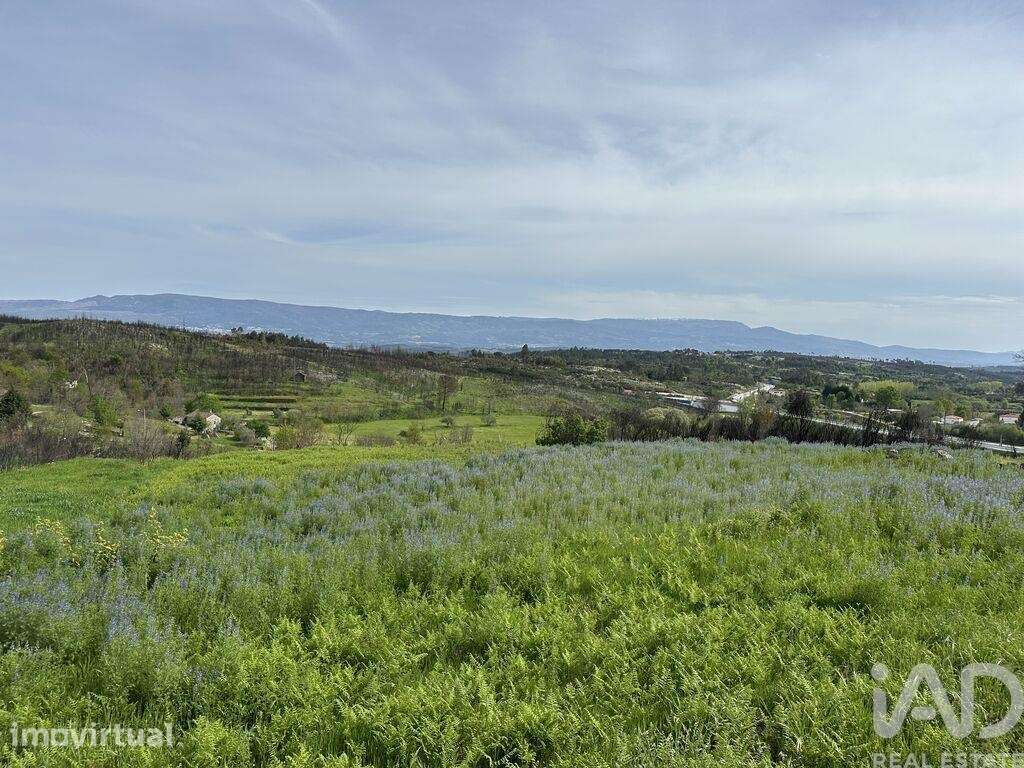 Terreno Agrícola em Mangualde, Mesquitela e Cunha Alta - Grande imagem: 5/8
