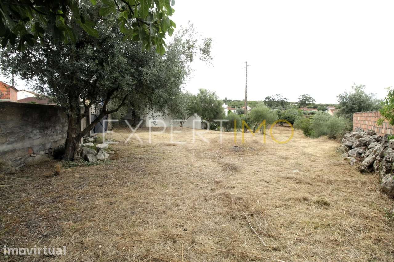 Terreno com Viabilidade de Construção a 5 Minutos de Pombal - Grande imagem: 4/10