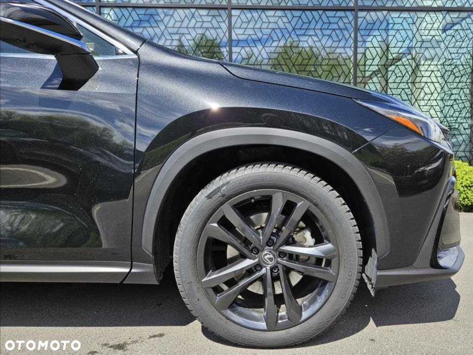 Lexus NX - 13