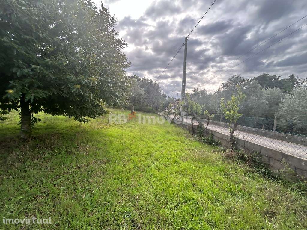 2 Terrenos Rústicos com PDM - Carril, Ferreira do Zêzere - Grande imagem: 3/21
