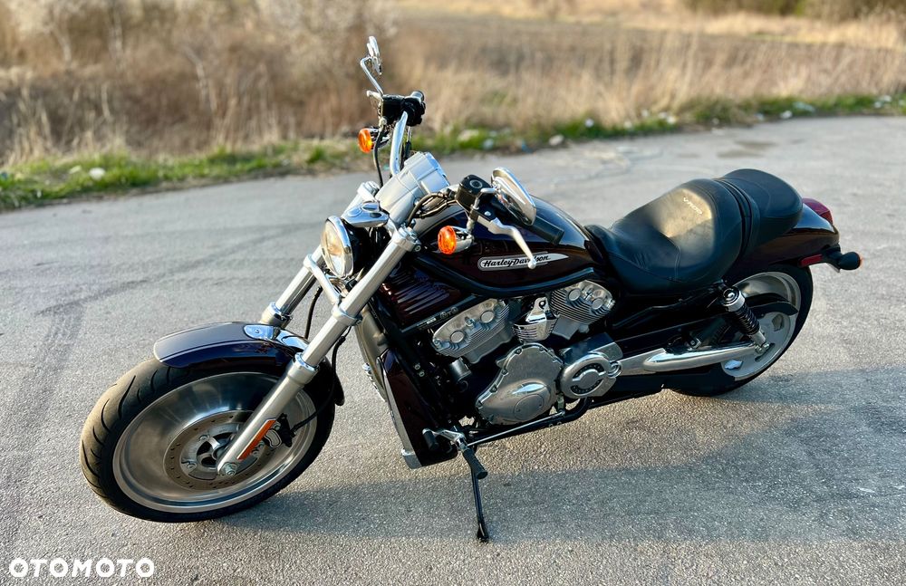 Harley-Davidson V-Rod Street Rod - 10