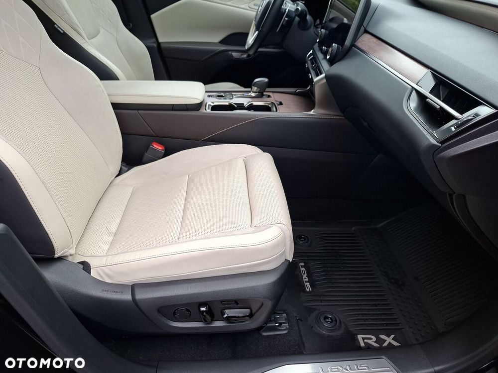 Lexus RX - 19