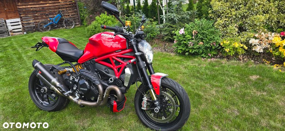 Ducati Monster - 11