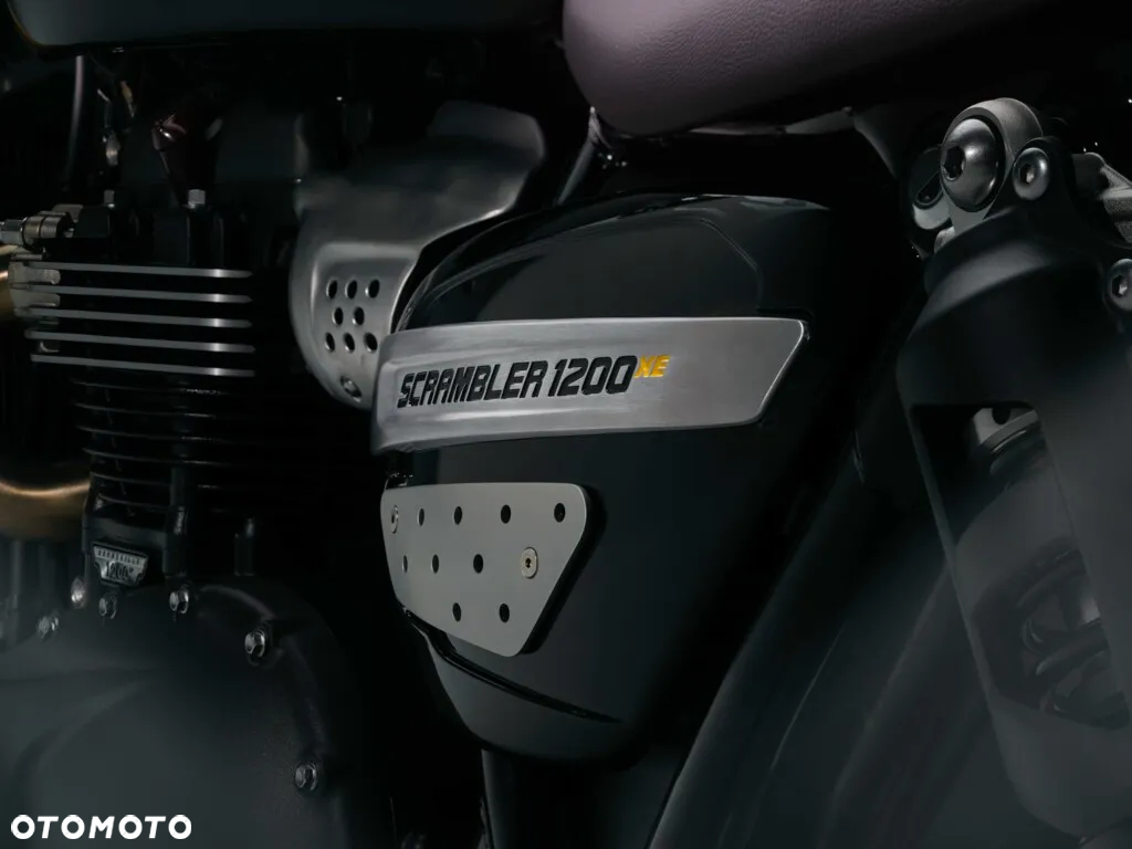 Triumph Scrambler - 11