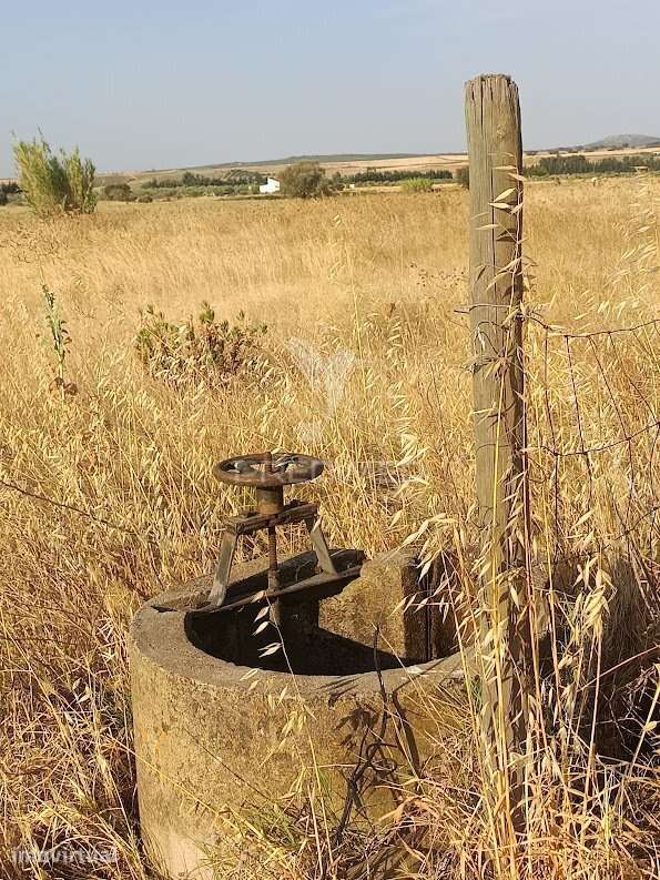 Terrenos Rústicos com Rega | Godinha, Campo Maior - Grande imagem: 4/37