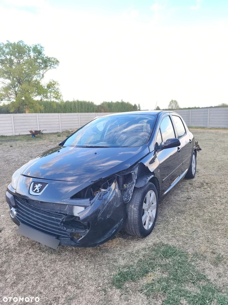 Peugeot 307 1.6 - 3