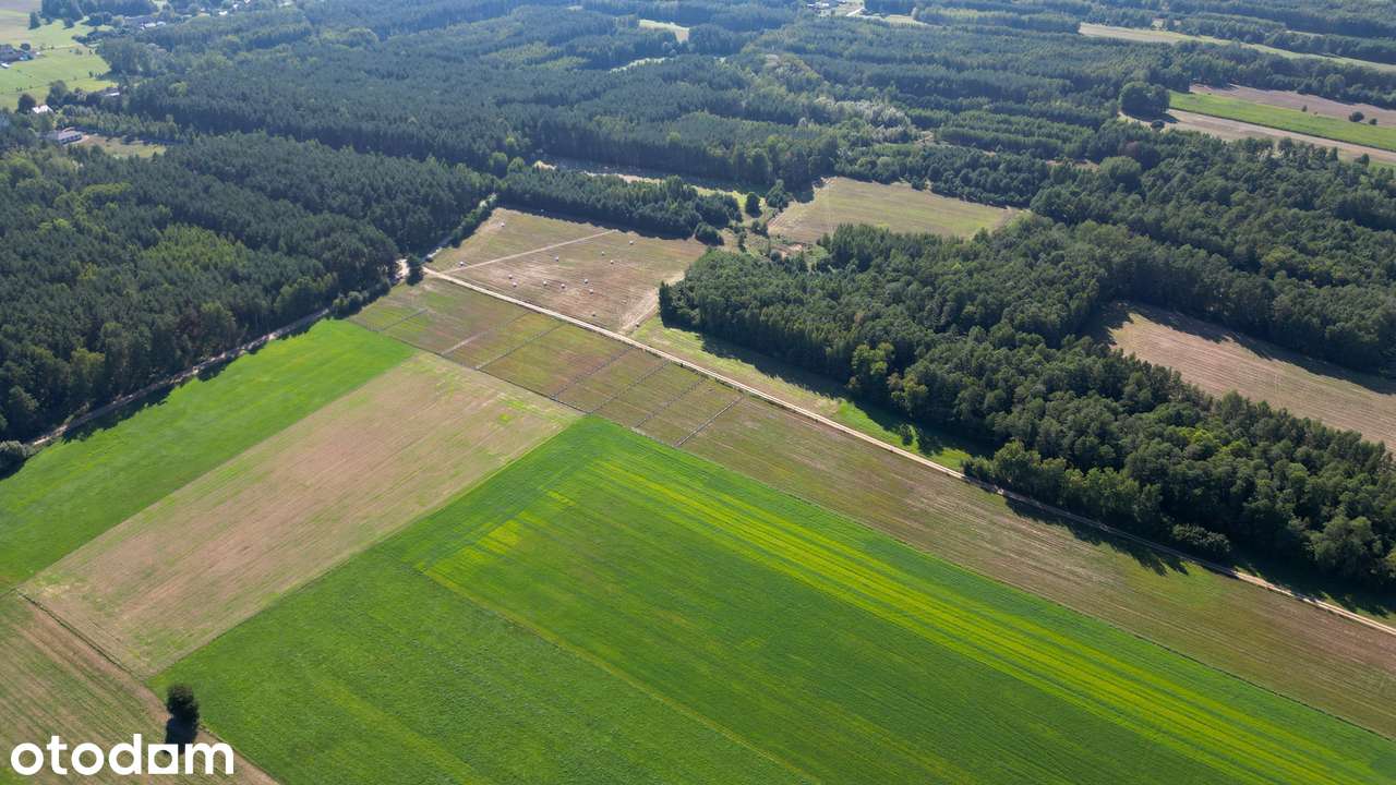Działki budowlane, zamieszkaj 1h od Warszawy, 30 minut od Ostrołęki! - Pełny obrazek: 3/5