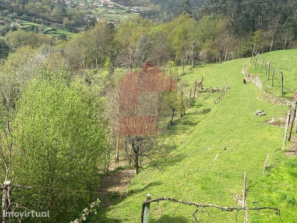 Terreno agrícola / florestal, Barros - Grande imagem: 4/43