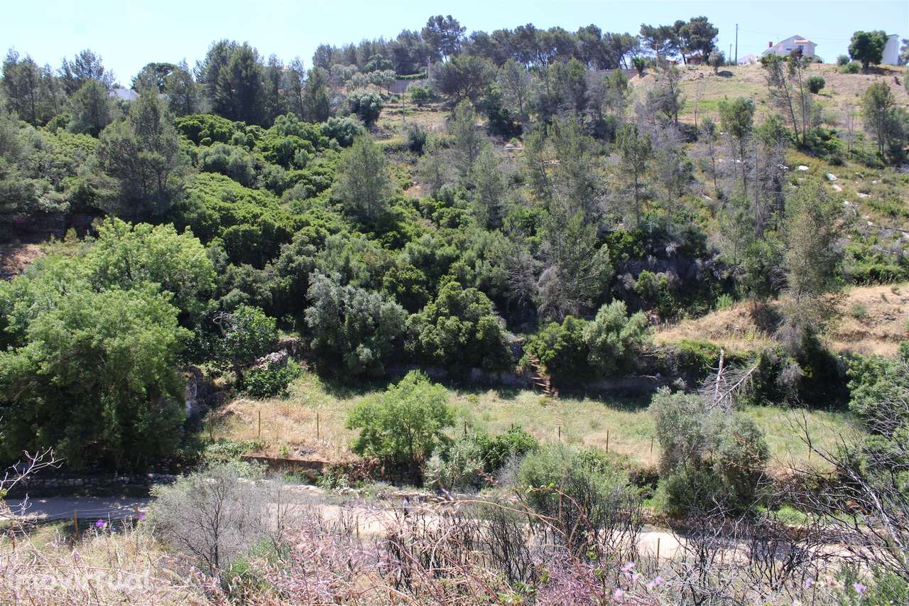 Terreno misto em Cascais - Grande imagem: 3/58