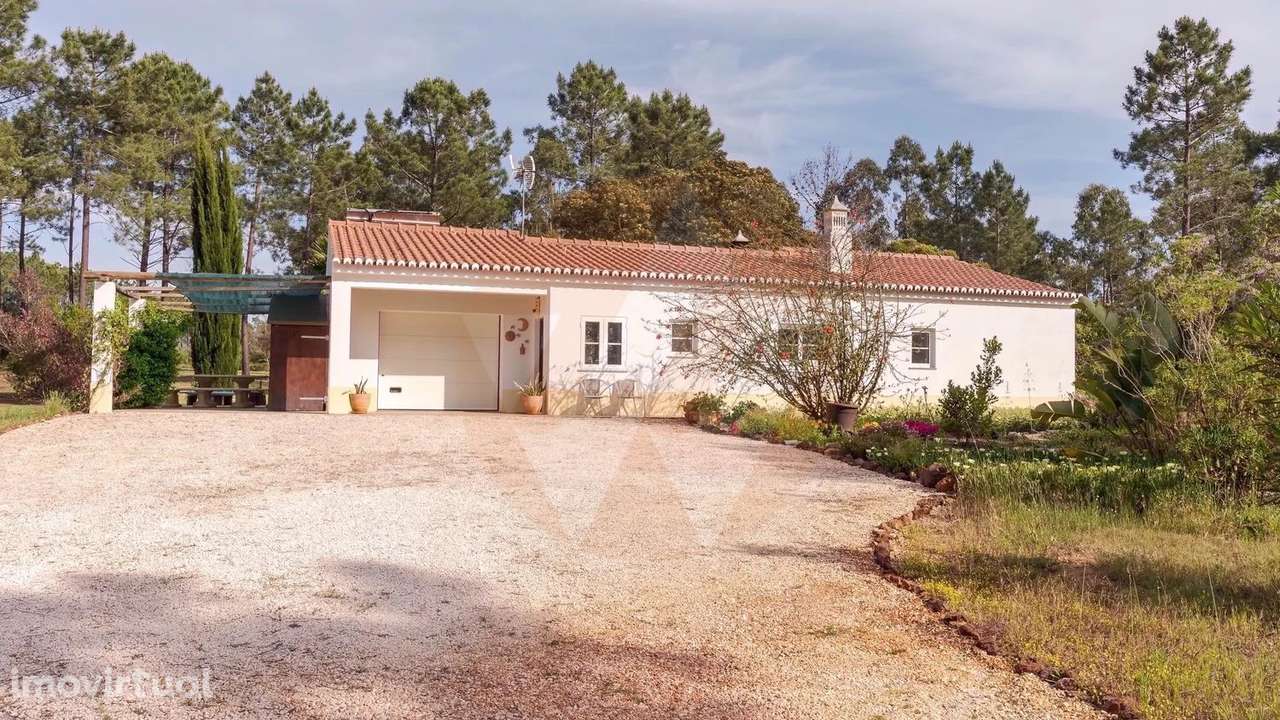 Quinta T3 com 1,8 ha a 15 min da Praia em Zona Tranquila - Grande imagem: 2/19