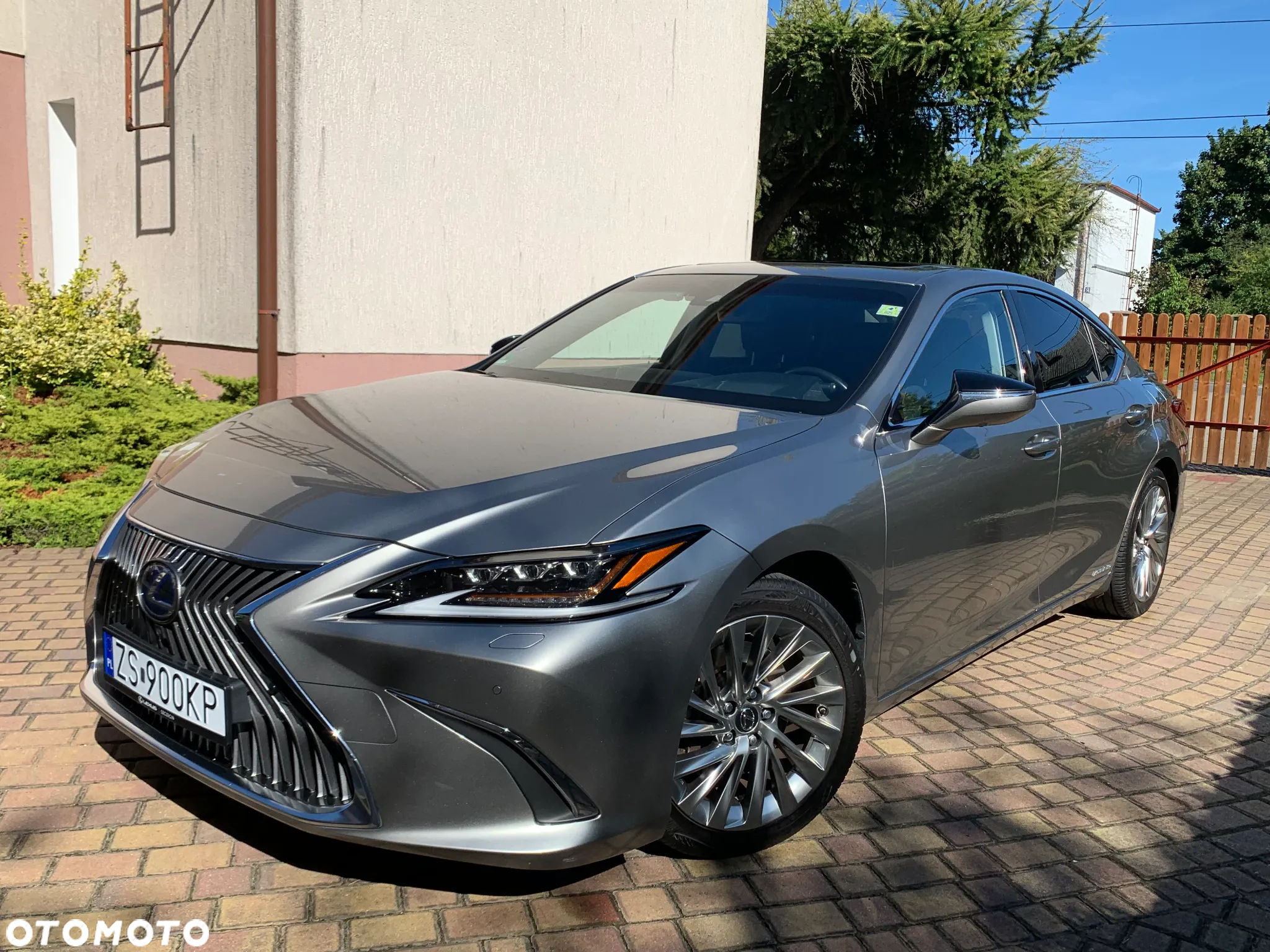 Lexus ES 300h Omotenashi - 3