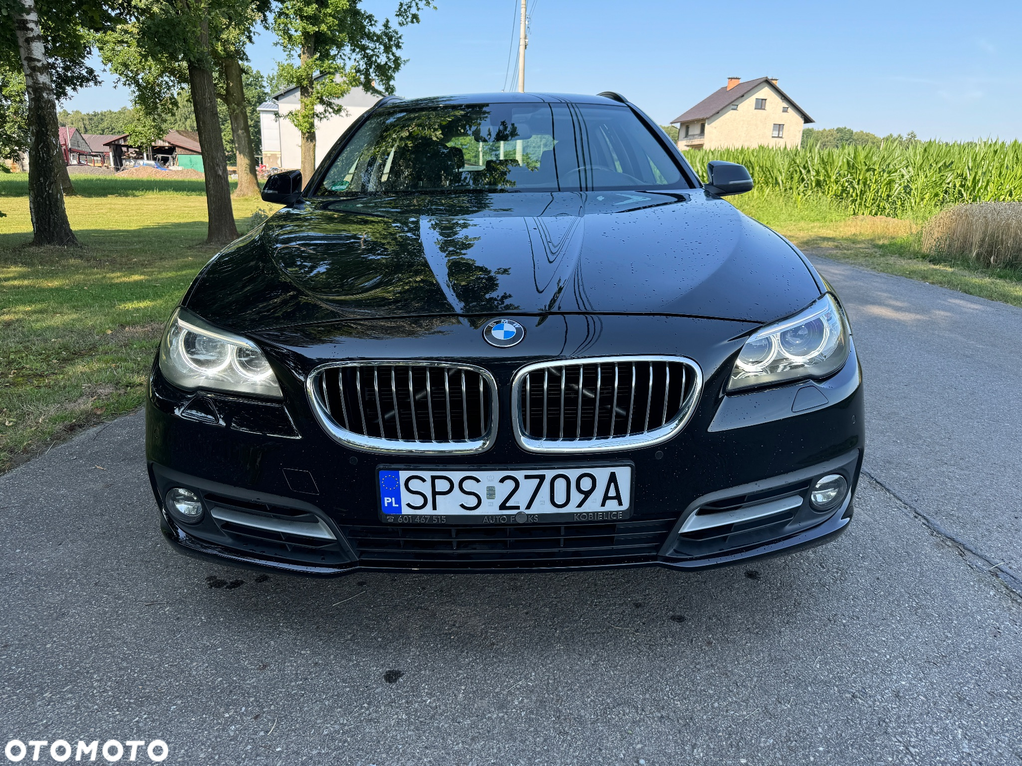 BMW Seria 5 - 2