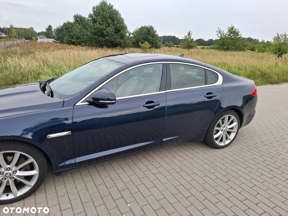 Jaguar XF 3.0 V6 D Luxury - 7