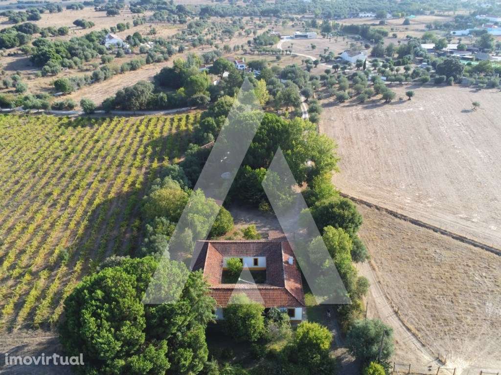 Quinta em Évora. A poucos minutos do Centro da Cidade. - Grande imagem: 3/60