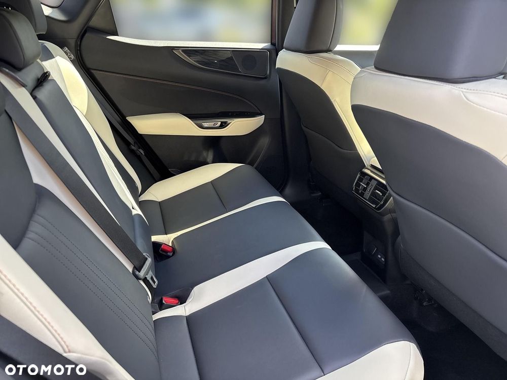 Lexus NX - 23