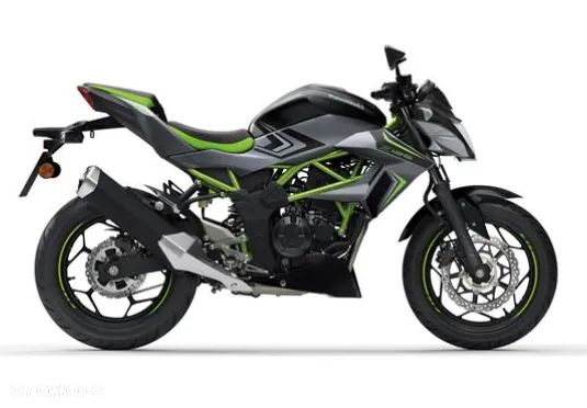 Kawasaki Ninja - 4