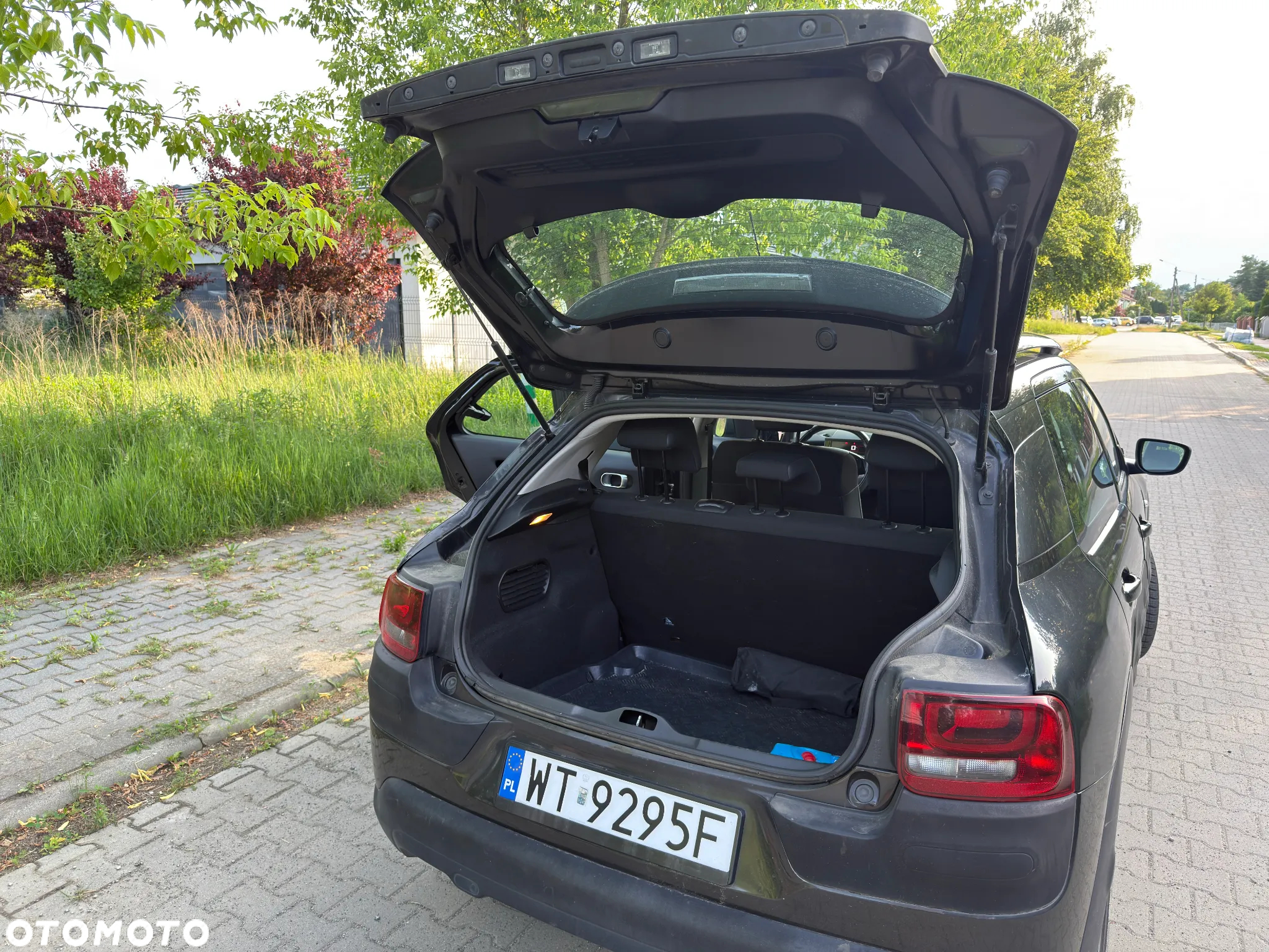 Citroën C4 Cactus 1.6 BlueHDi Feel - 20