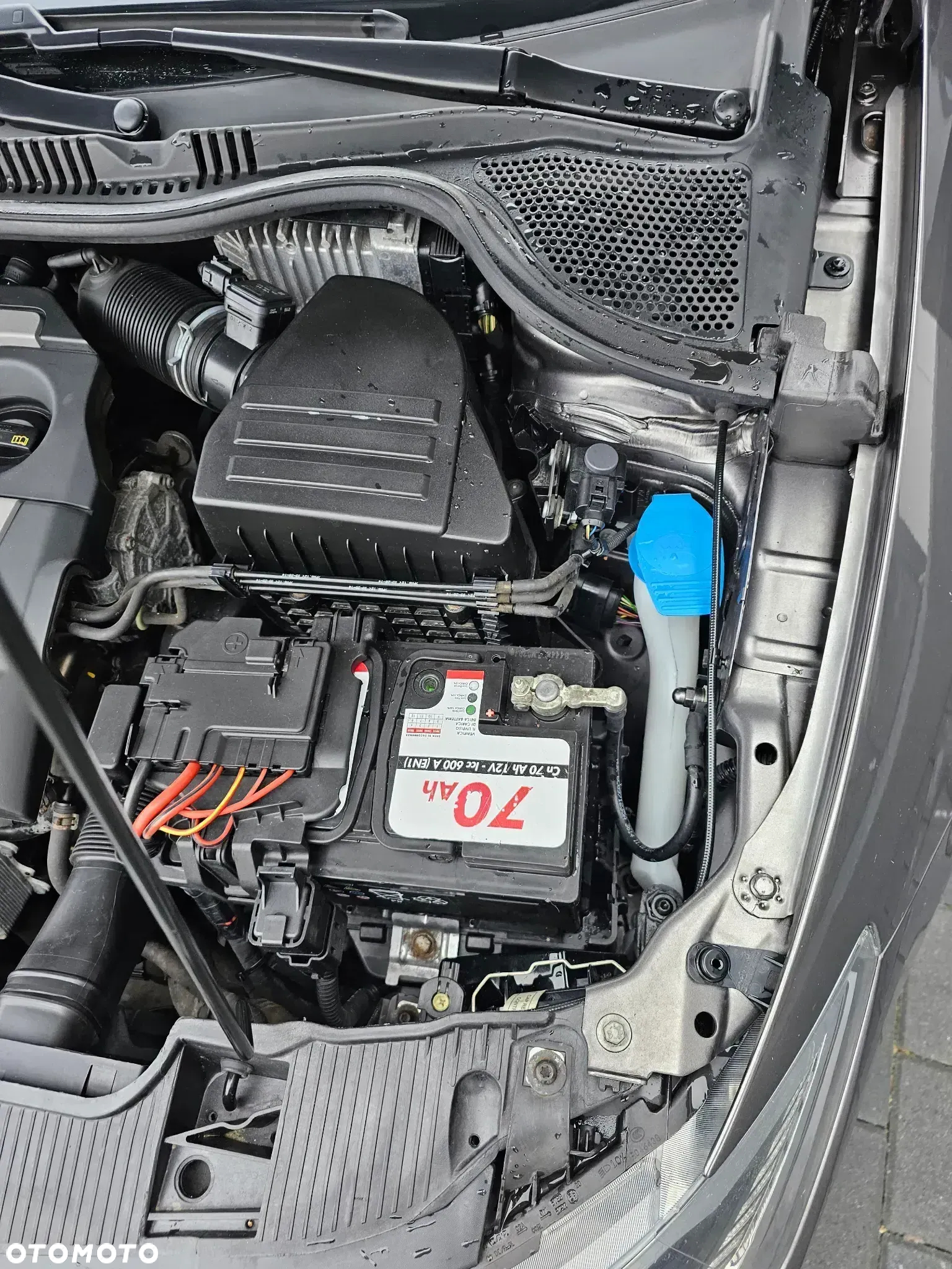 Seat Ibiza - 30
