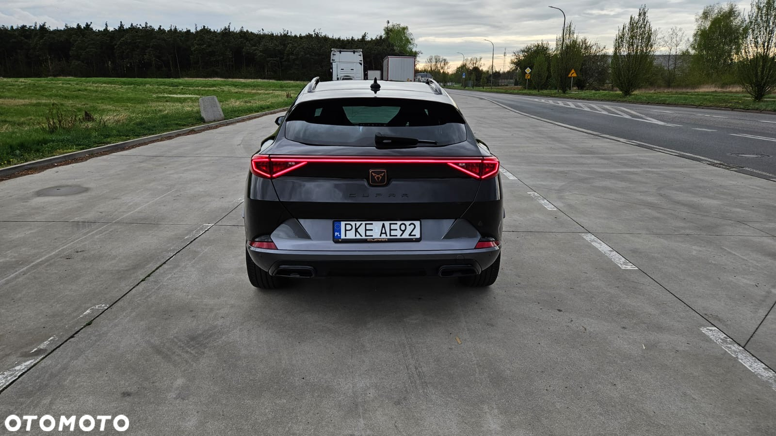 Cupra Formentor 2.0 TSI 4Drive DSG - 11