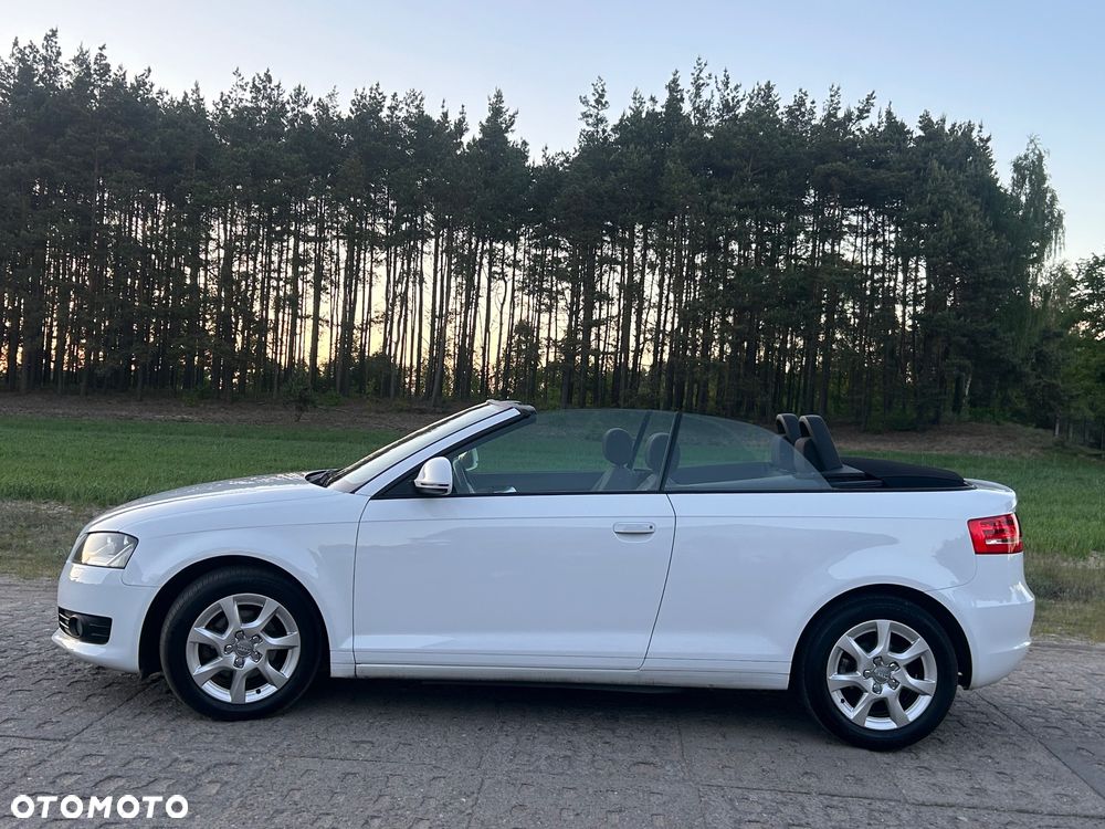 Audi A3 Cabrio 1.6 Ambition - 20