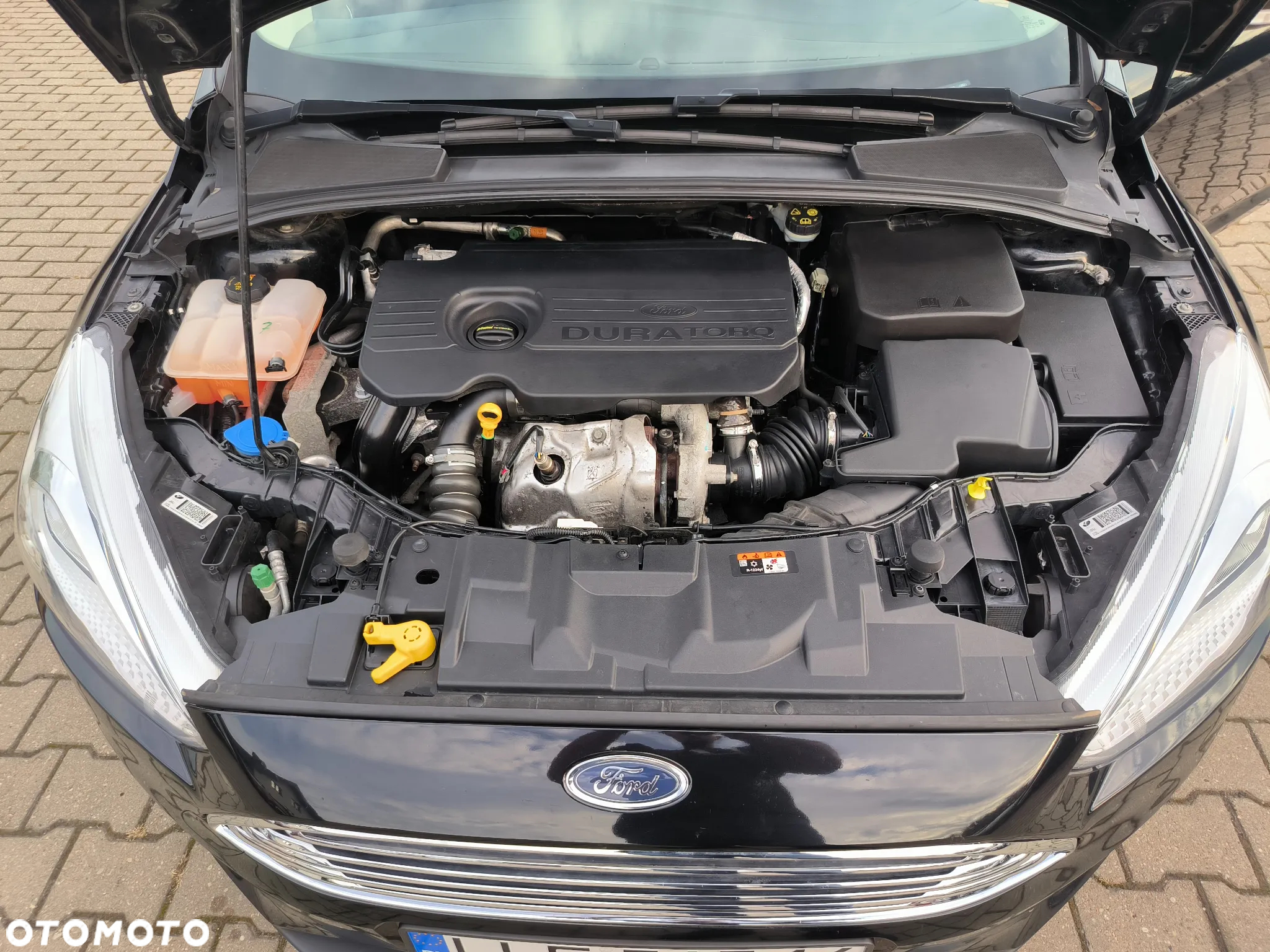 Ford Focus 1.5 EcoBlue Start-Stopp-System TREND - 16