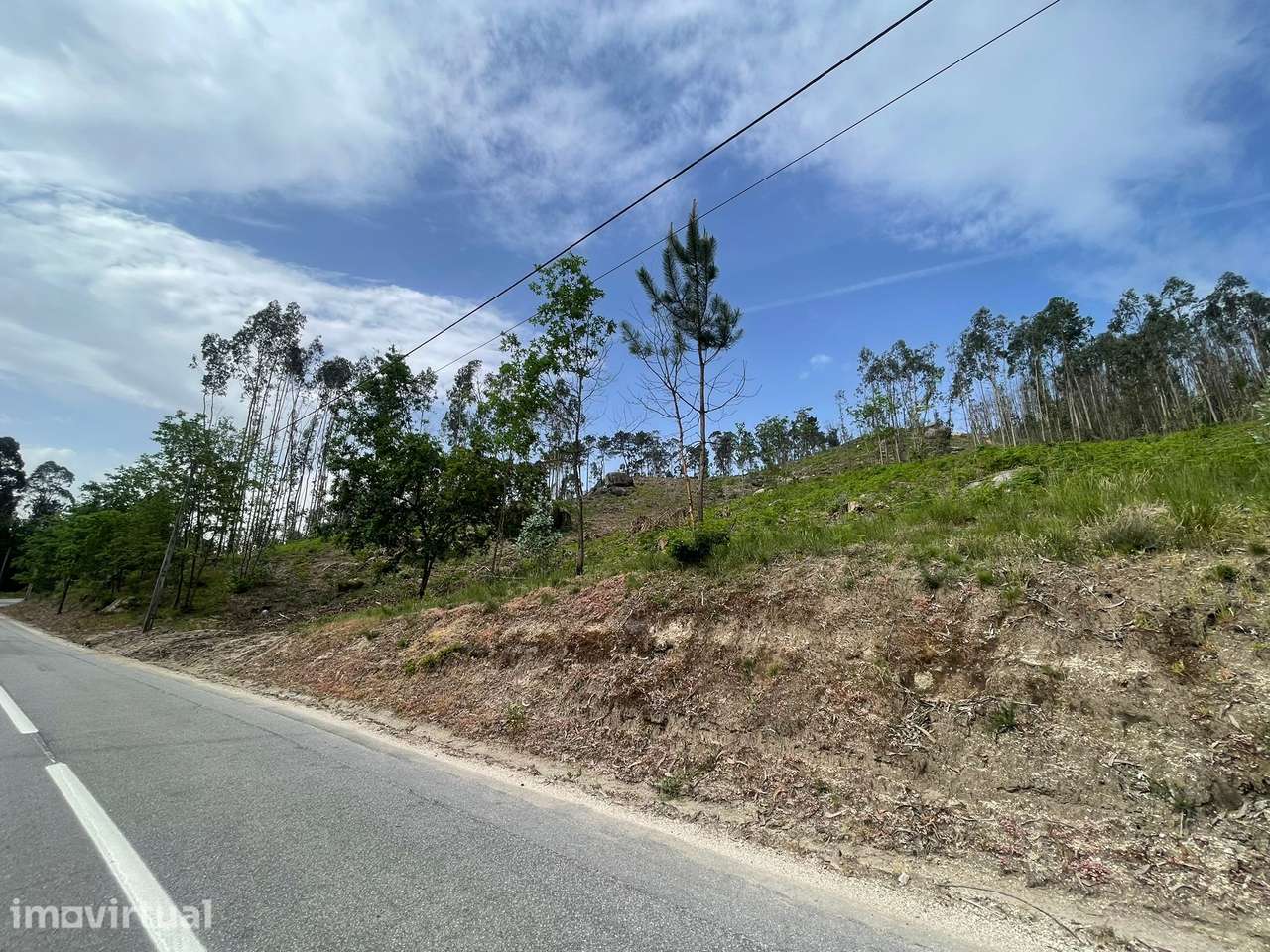 Terreno com 2,64 hectares em Cepães - Grande imagem: 2/5