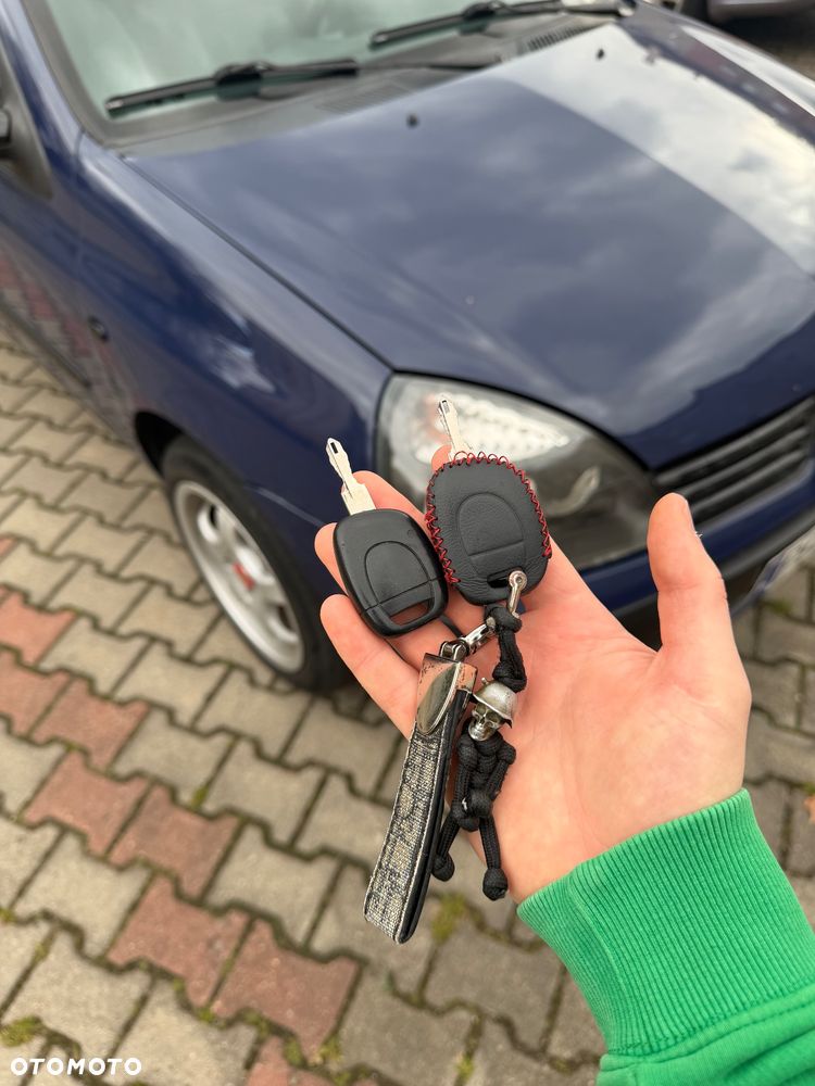 Renault Clio - 29