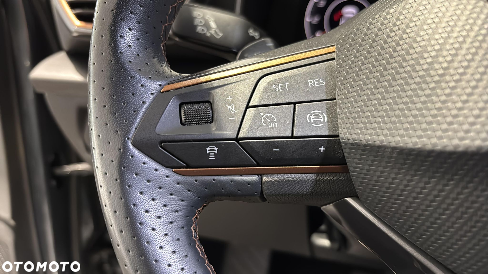 Cupra Formentor 1.5 TSI DSG - 28