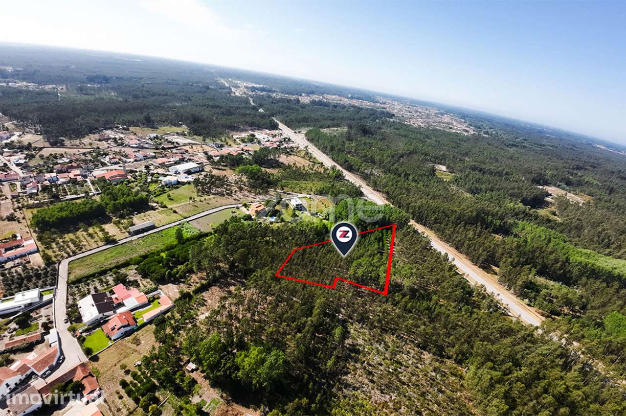 Terreno | 4.160m2 | Cantanhede | Oportunidade | - Grande imagem: 4/9