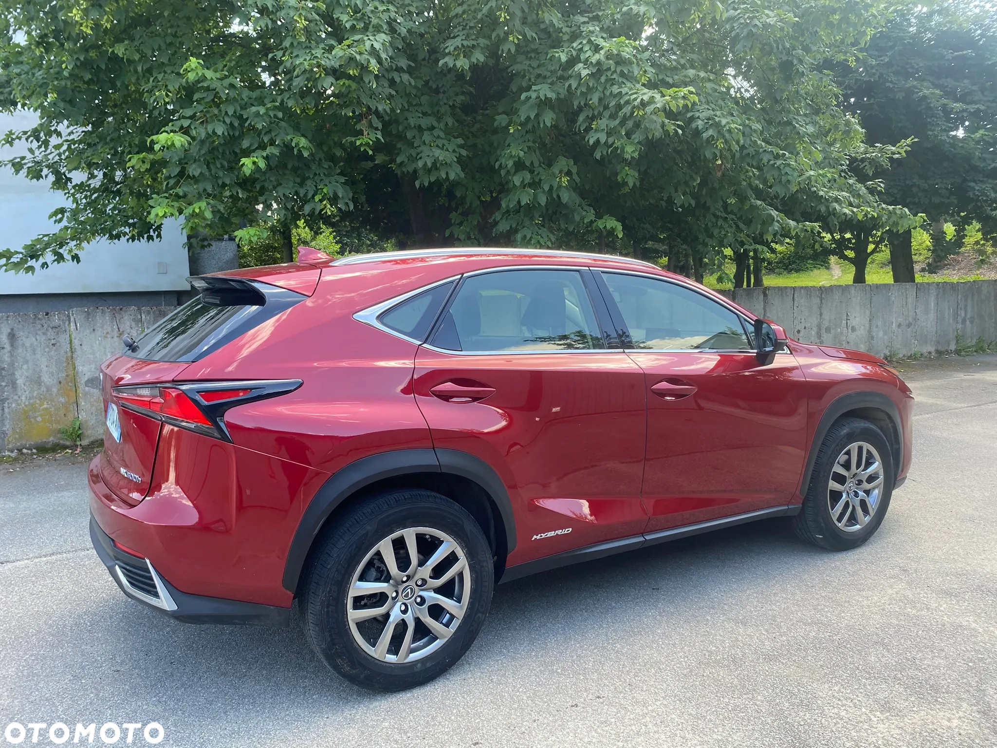 Lexus NX 300h Elegance AWD - 15