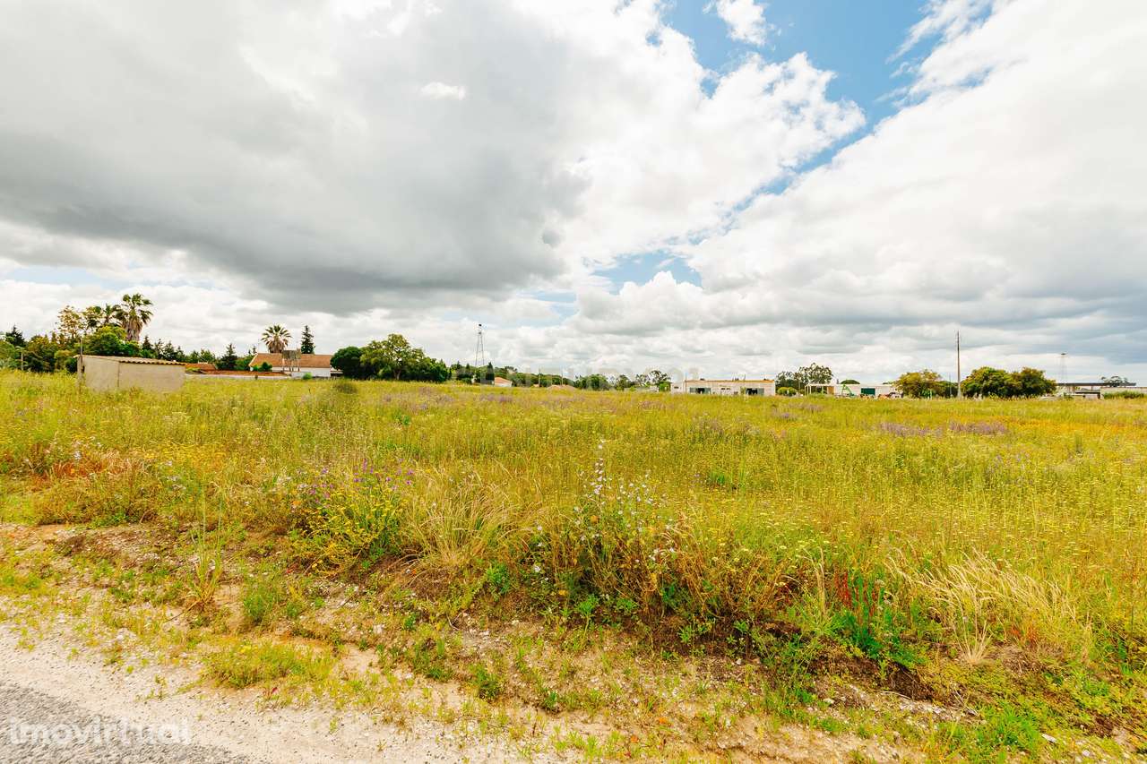 Terreno Urbanizável - Biscainho ( Coruche ) - Grande imagem: 3/12