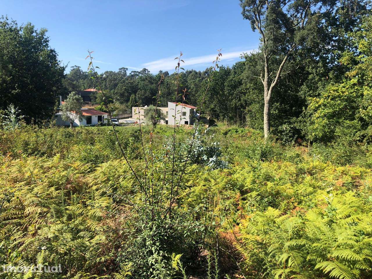 Terreno Rústico à Venda em Braga, Esposende - 60.000€ - Grande imagem: 5/9