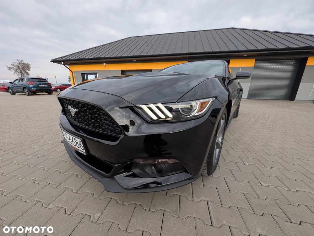 Ford Mustang - 8