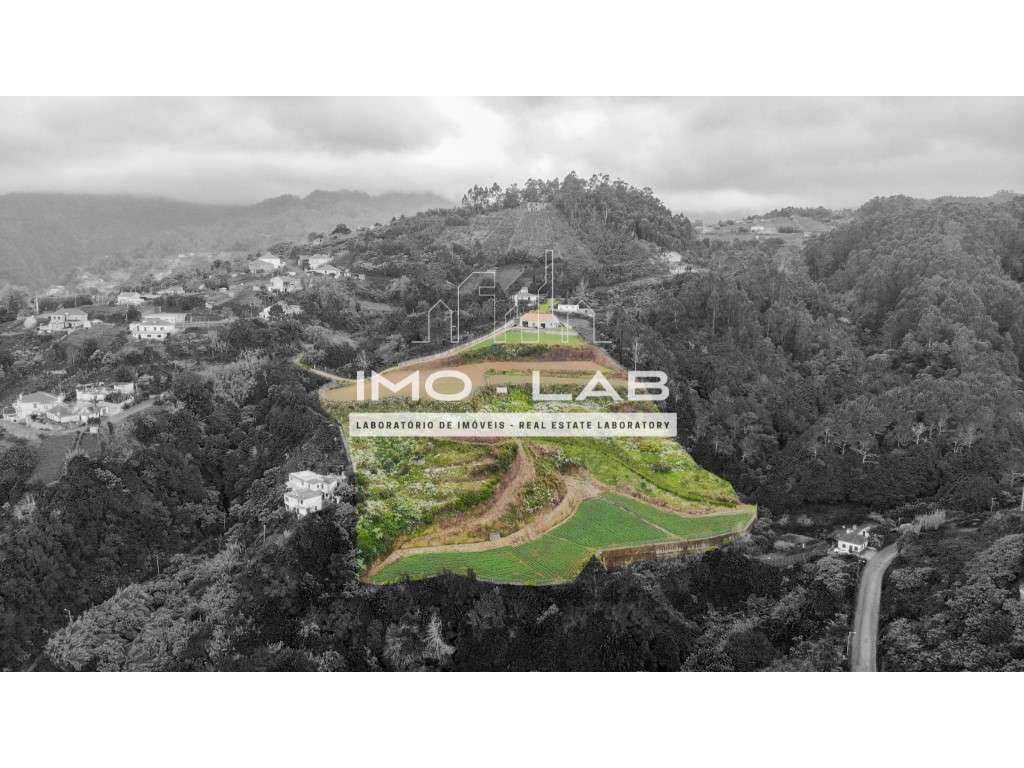 Armazém + 25.566m2 de Terreno Cultivado - São Jorge - Santana - Grande imagem: 5/16