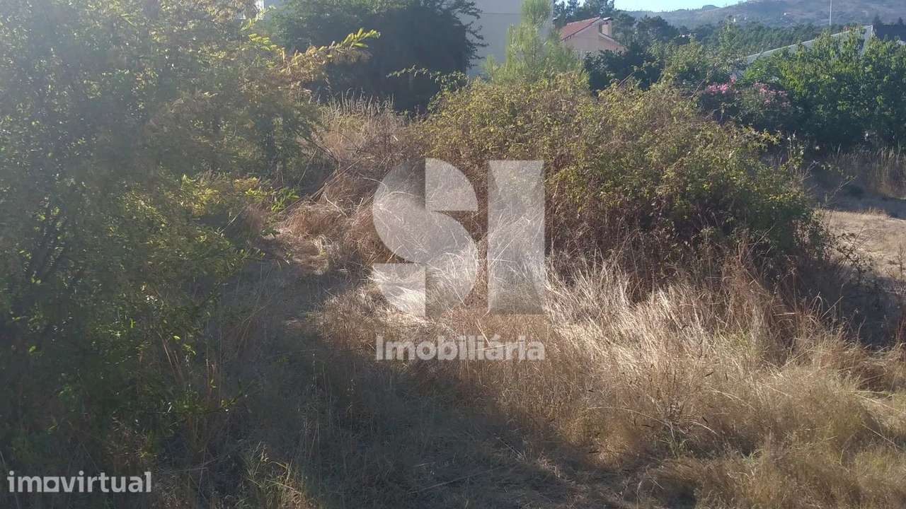 Terreno para venda com armazém. - Grande imagem: 5/7