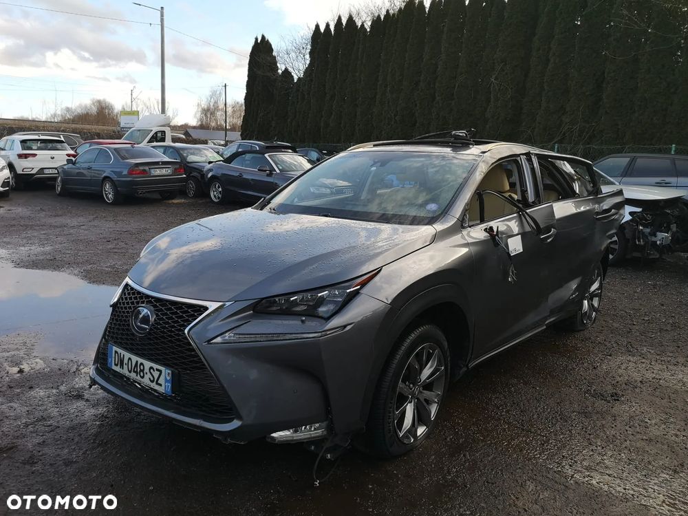 Lexus NX 300h E-FOUR Executive Line - 10