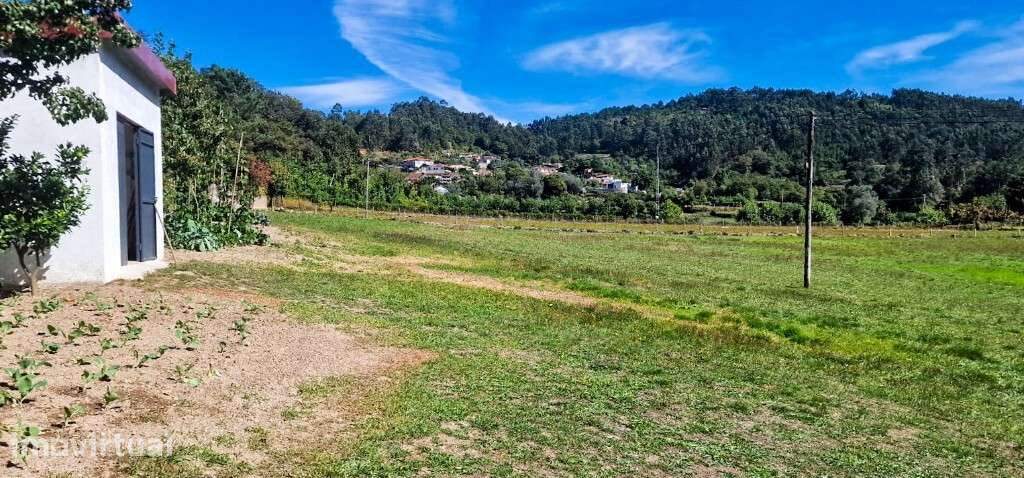 Terreno agrícola - Pinheiro - Grande imagem: 4/19