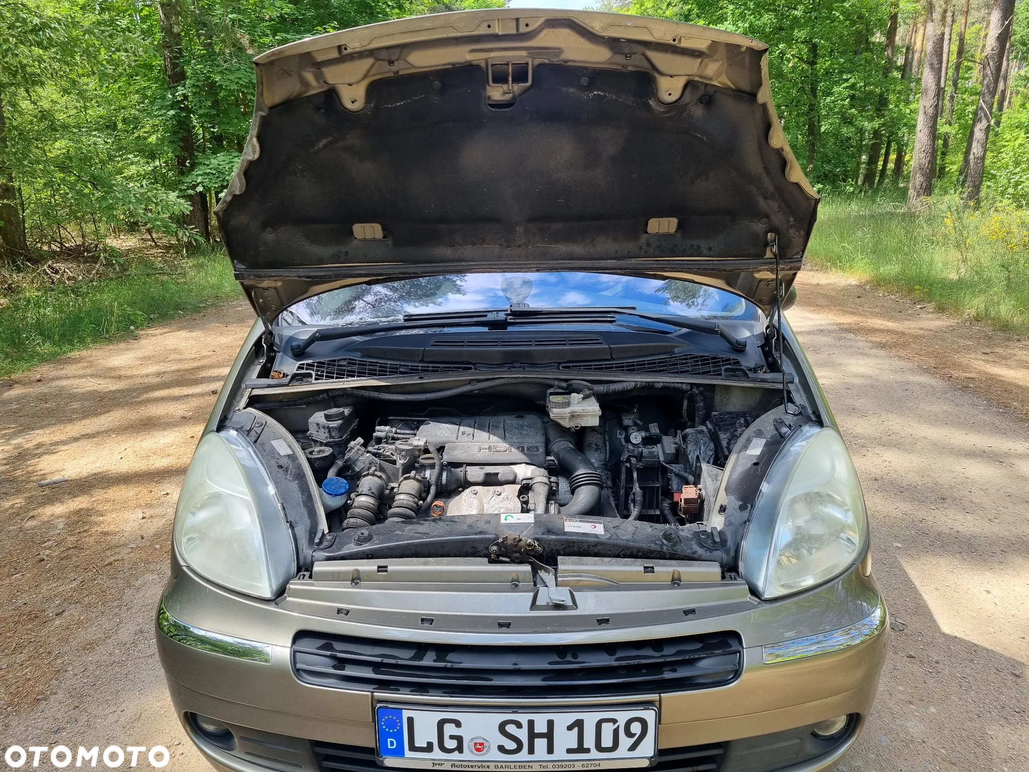 Citroën Xsara Picasso - 20