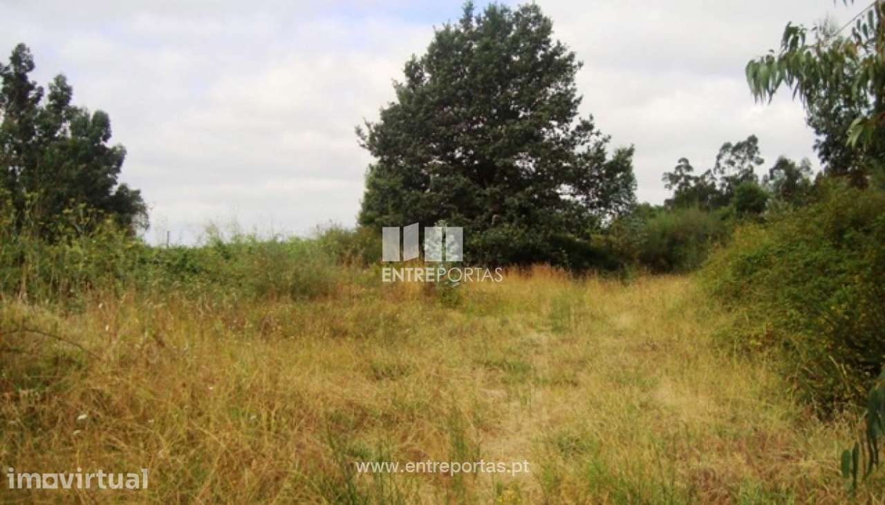 Terreno - Barroselas - Grande imagem: 5/7