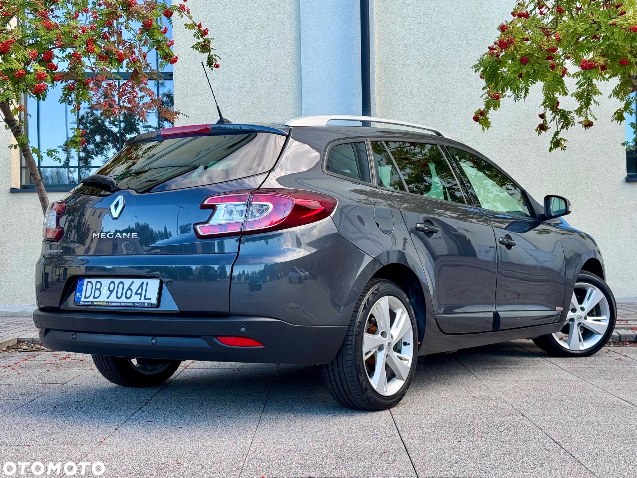 Renault Megane 1.6 16V Limited - 25