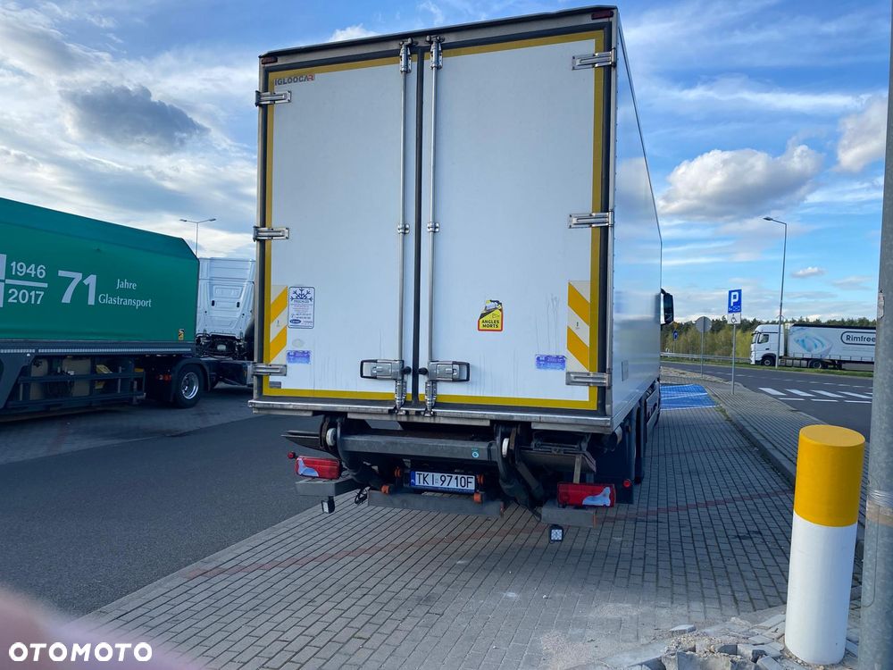 MAN TGX - 5